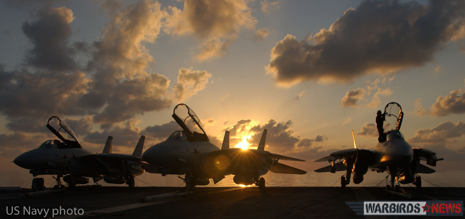 At sea aboard USS Theodore Roosevelt (CVN 71) Dec. 24, 2001-- A row of F-14 “Tomcats” assigned to the "Diamondbacks" of Fighter Squadron One Zero Two (VF 102) await their next mission. Theodore Roosevelt and her embarked Carrier Air Wing One (CVW-1) are conducting missions in support of Operation Enduring Freedom. U.S. Navy Photo by Photographer’s Mate Airman Carly Joy Cranston (Released)