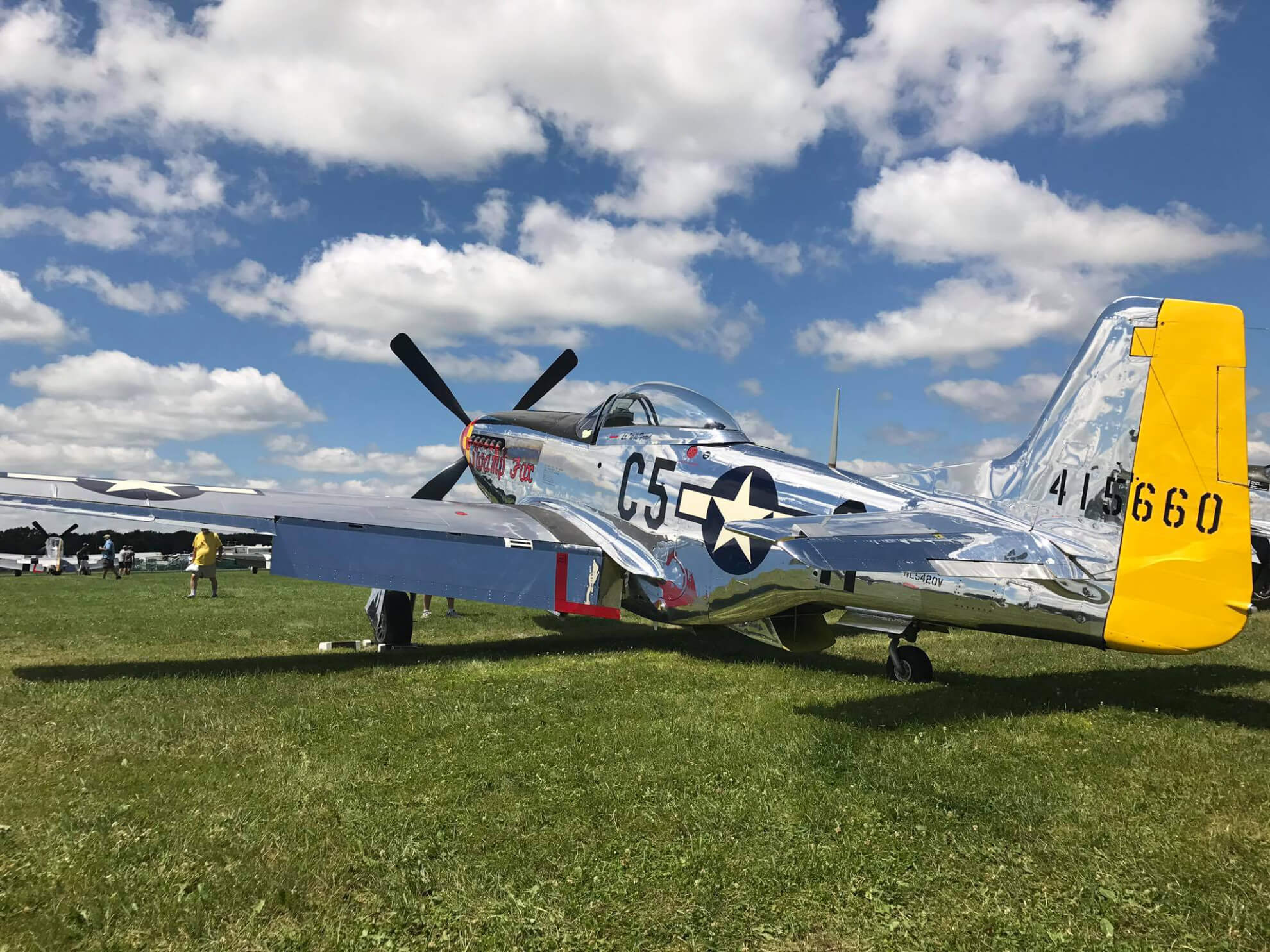 1944 North American Aviation P 51D Mustang Swamp