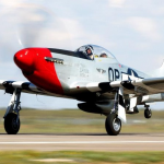 P 51 Mustang Rednose