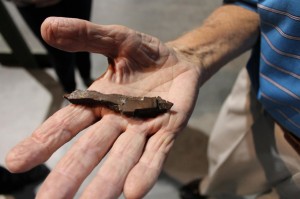 Norris holds a piece of shrapnel that punched through the fuselage and landed next to his leg during a mission. (Image Credit: Museum of Aviation) 