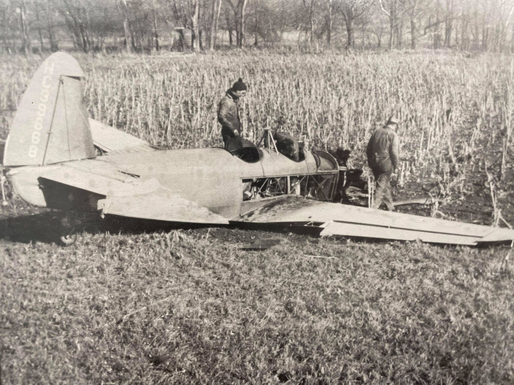 241263732 4934655719884068 2901215225960230042 n