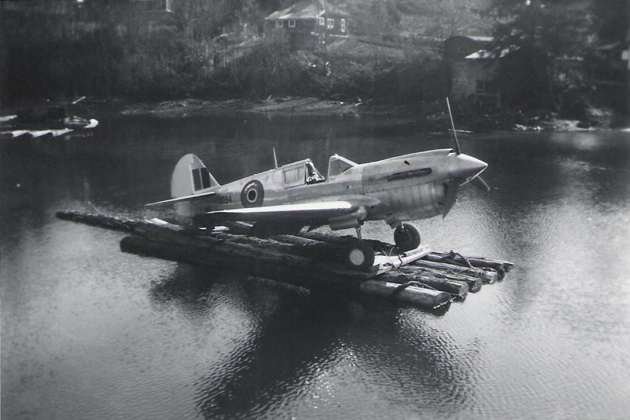 Randy's Warbird Profiles: Curtiss P-40E Warhawk (Kittyhawk Mk. IA) #1034 23 24414f ecb7b99cdf89434081eb82026e865968mv2
