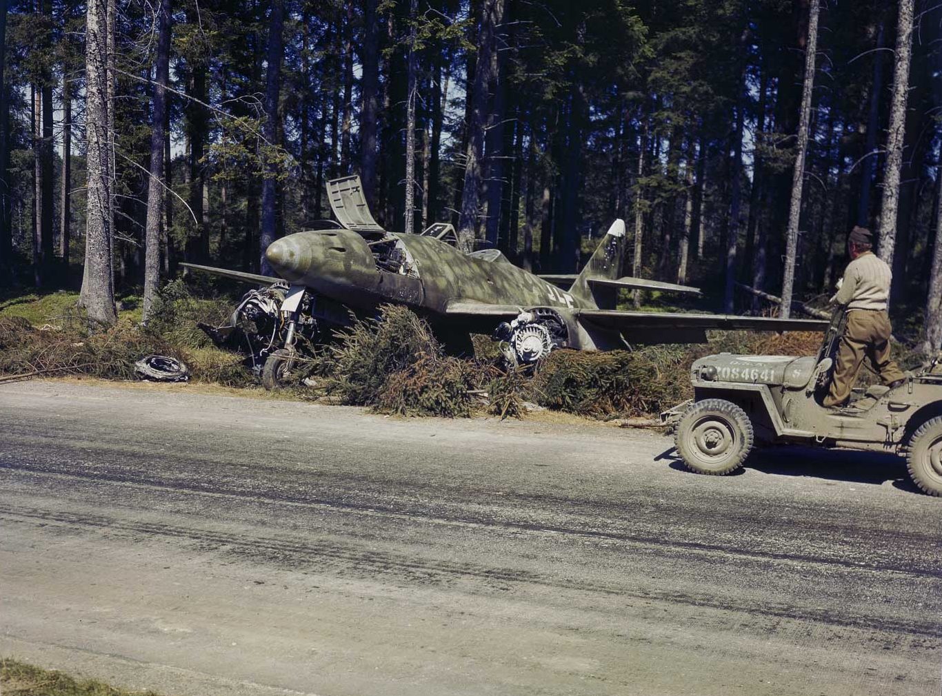 342 C K 003439 001 small e1767536857400