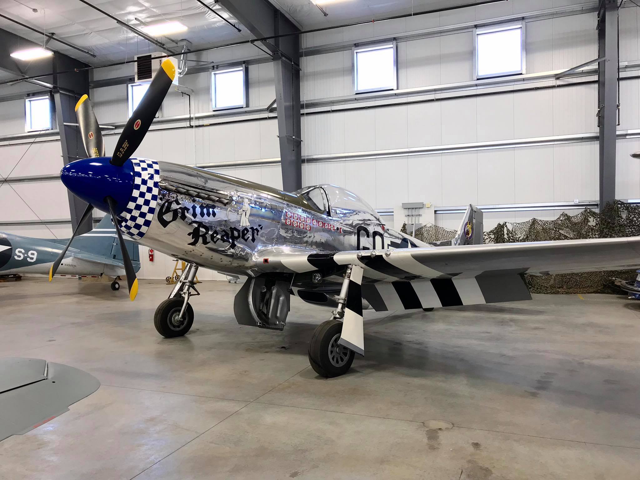 Randy Warbird Profiles: North American P-51D-20-NA, s/n 44-63701