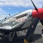 Randy's Warbird Profiles: North American P-51C-10-NT s/n 42-103293 11 465541305 9338158639545043 6010582029014639618 n