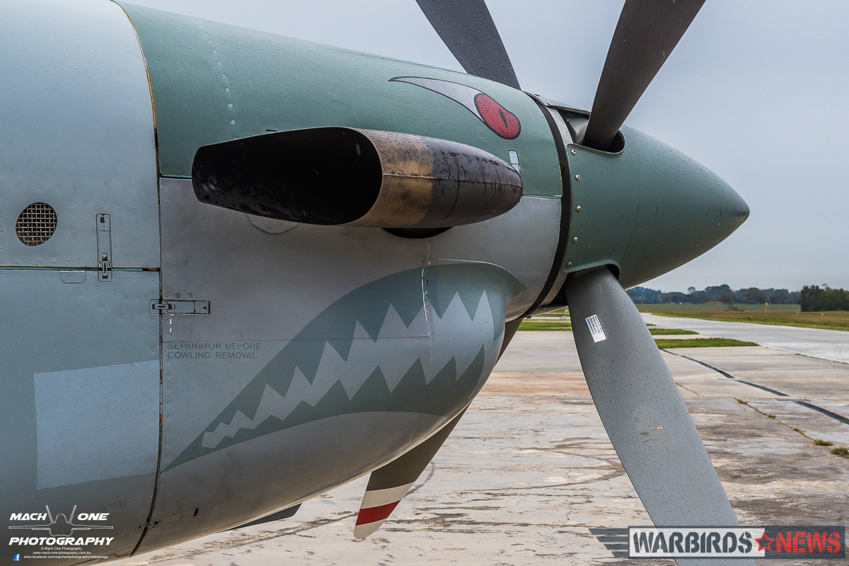 A closeup of the PC-9's engine and 'shark mouth' livery reminiscent of the WWII-era 4 Squadron RAAF markings. (photo by Matt Savage)