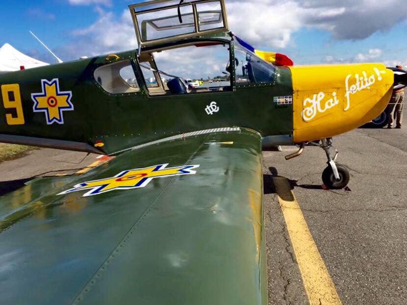 Randy's Warbird Profiles: Industria Aeronautică Română IAR-823 24 72526732 2973810039313300 3063907137844412416 n
