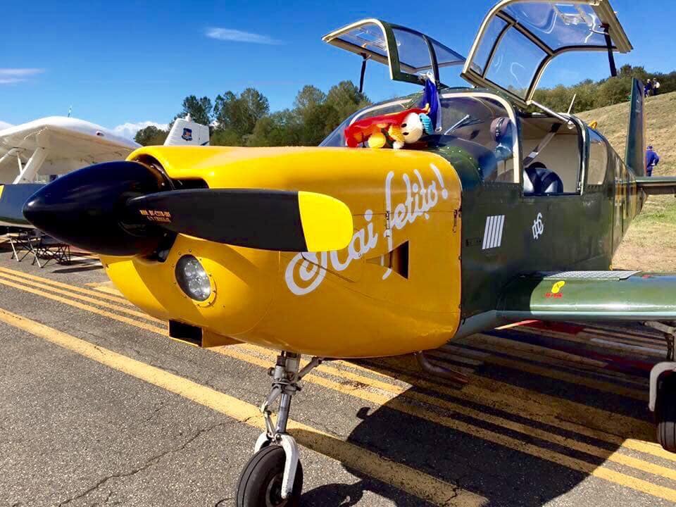 Randy's Warbird Profiles: Industria Aeronautică Română IAR-823 11 72545671 2973810049313299 1782447612939468800 n