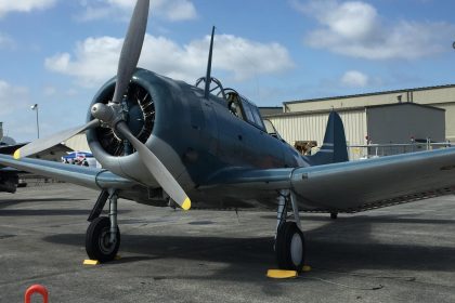 83733416 3219188821442086 5154312817964220416 n