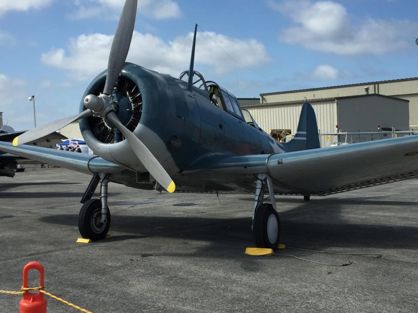 83733416 3219188821442086 5154312817964220416 n