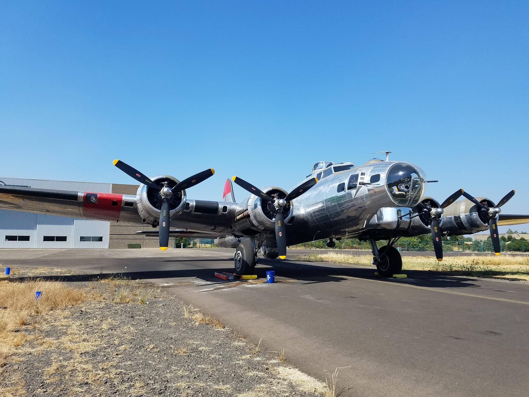 Randy's Warbird Profiles: Boeing B-17G-95-DL Flying Fortress s/n 44-83785 30 95172365 3447356891958610 8129314283105288192 n
