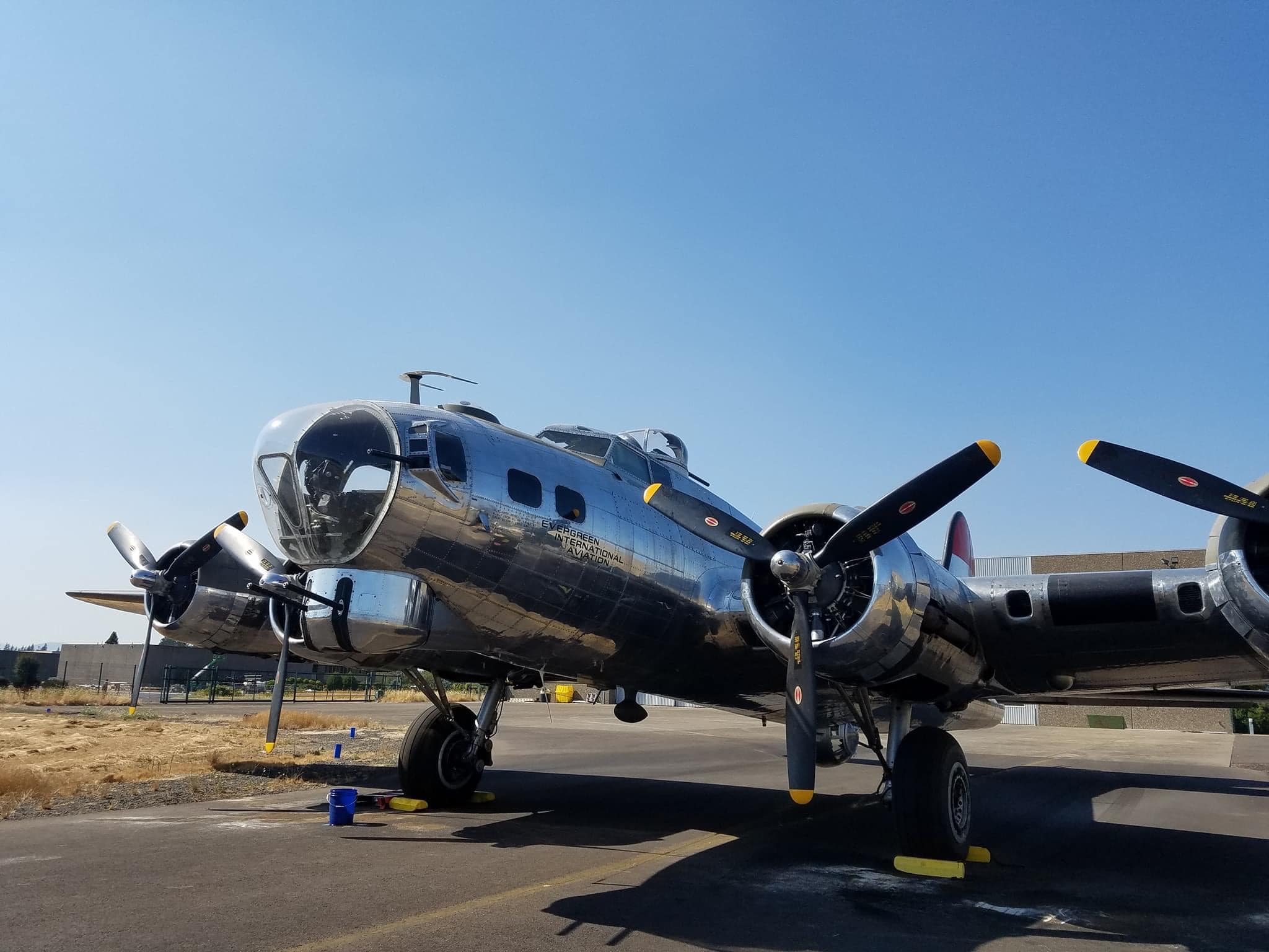Randy's Warbird Profiles: Boeing B-17G-95-DL Flying Fortress s/n 44-83785 29 95492978 3447357211958578 2636140768963592192 n