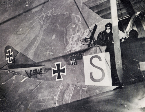 A DFW C.V. of the type that shot down the French bombers