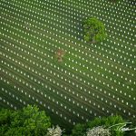 Arlington Cementery