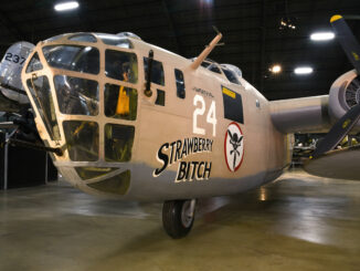 B 24 Strawberry Bitch