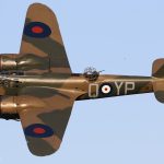 Blenheim 7D2 8683