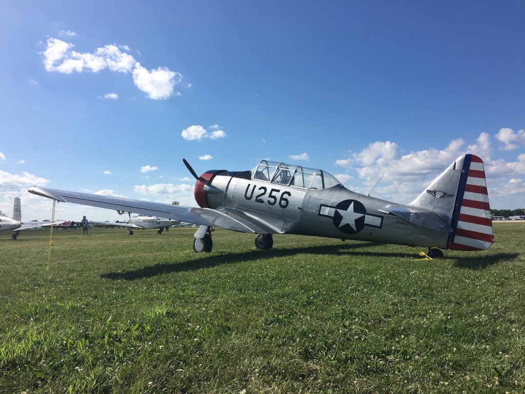 CAF Airbase Georgia to Host Aviation Futures Day and RISE ABOVE Traveling Exhibit 12 CAF T 6 painted in a typical WASP paint scheme 1