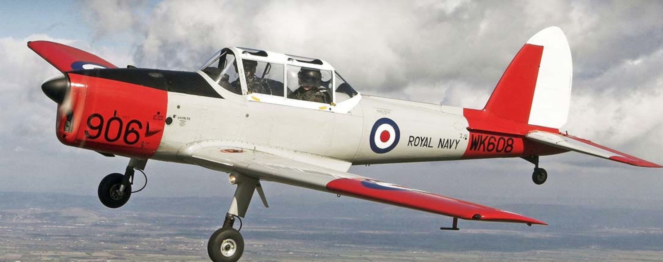 Chipmunk T10 WK608