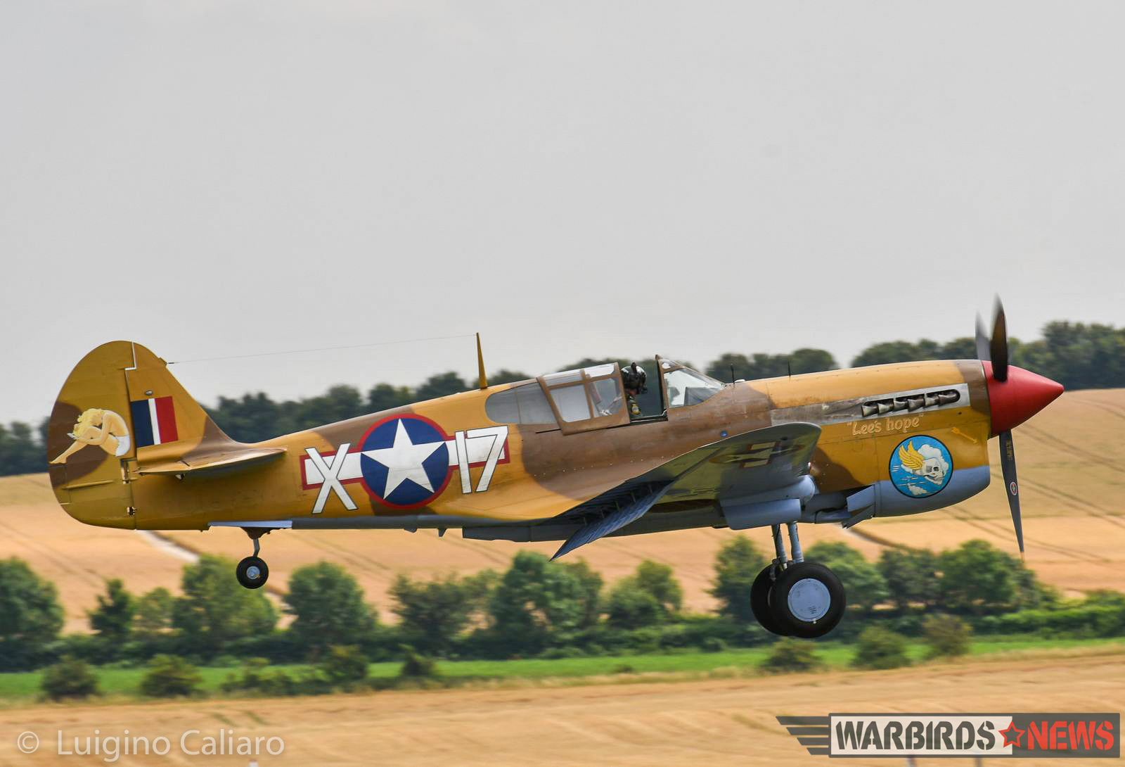 The Fighter Collection's very rare, Merlin-engined P-40F. (photo by Luigino Caliaro)