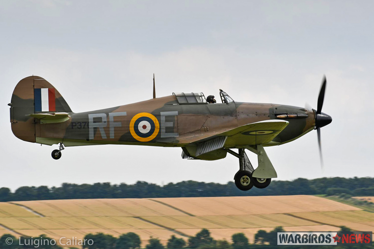The Historic Aircraft Collection's Hawker Hurricane XII P3700, marked as a Battle of Britain era Mk.I of 303 (Polish) Squadron, comes in for a landing. (photo by Luigino Caliaro)