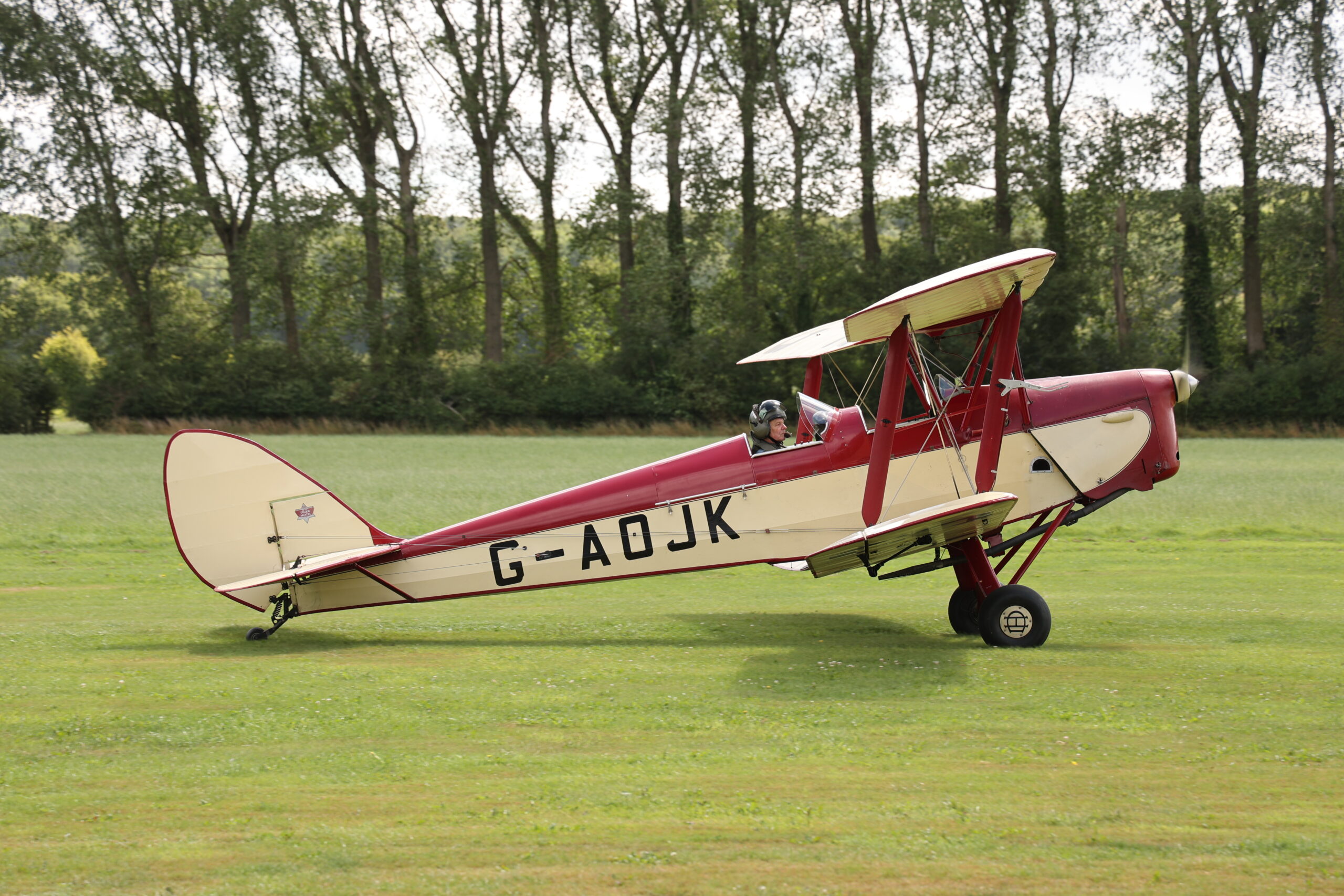 De Havilland Moth Club fly in Oaksey Park Wiltshire England 5458 scaled