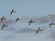 Duxford Battle of Britain Airshow 1415 Sept 2024 9325 c