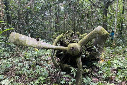 Echoes of War in the Jungle Two WWII Corsairs Unearthed on Espiritu Santo