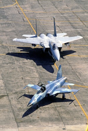 F-5E, dwarfed by F-15 Eagle, nonetheless the F-5 edged out the larger and more powerful warbird in head to head combat. (Image Credit: USAF)