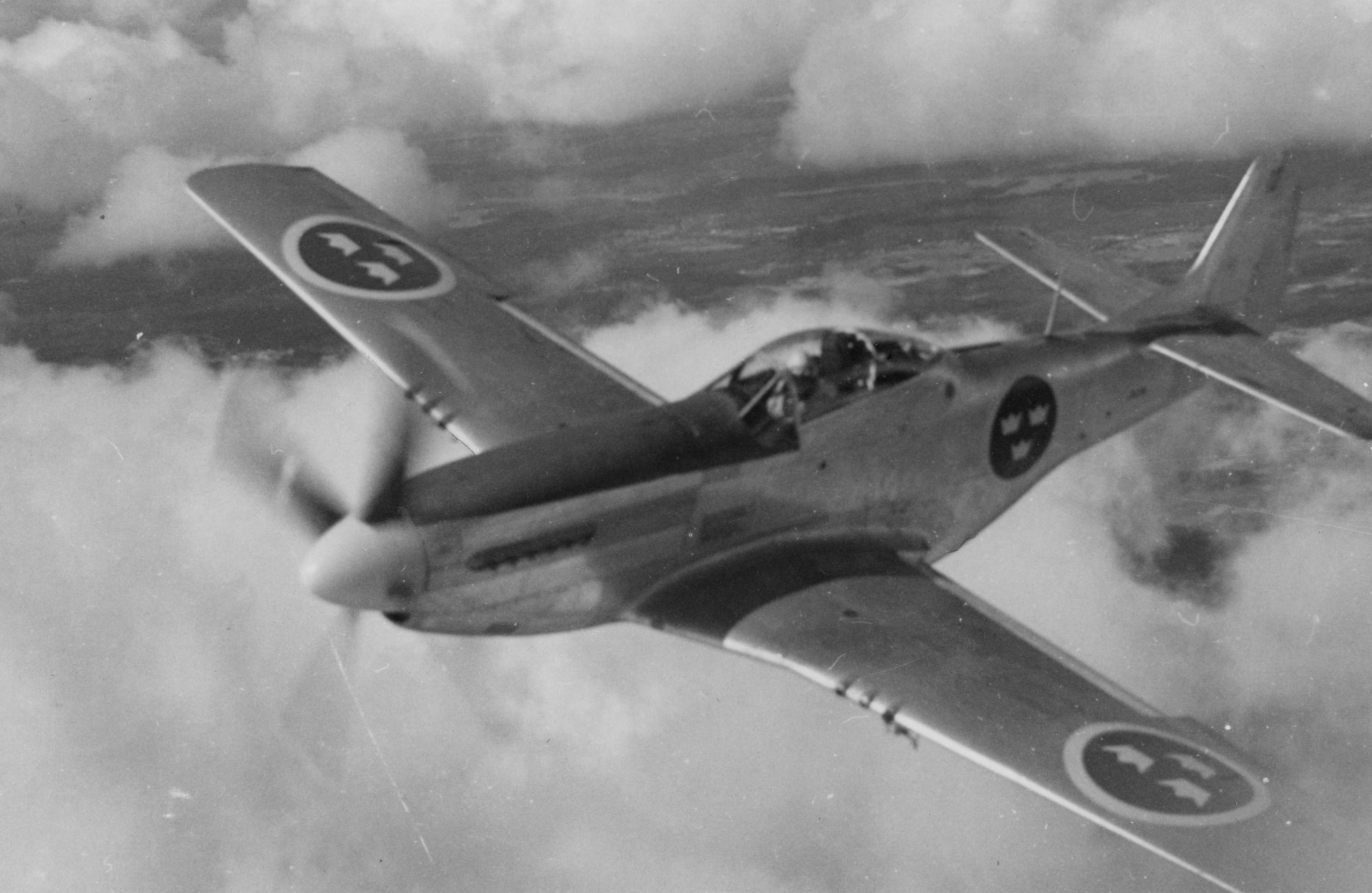 Lyon Air Museum Acquires WWII Combat Veteran P-51D "Sierra Sue II" 16 FVMF.002217 scaled