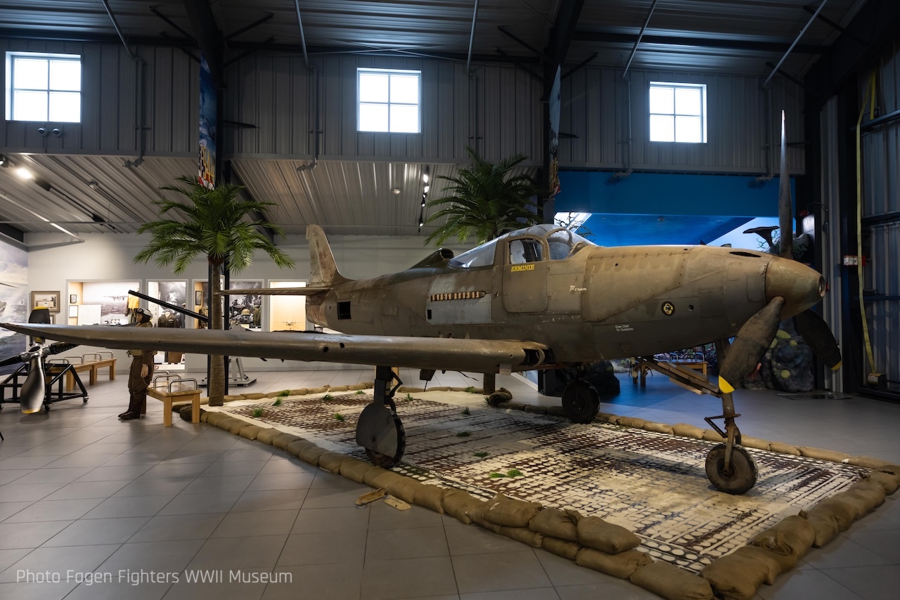Fagen Fighters WWII Museum P 30 sn 41 69514994