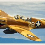 Flying tigersAVG P 40