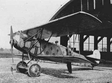 Aces: Oskar Freiherr Von Boenigk - The Twenty-Six Victory Blue Max Fighter Leader 10 Fokker D VII 2