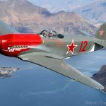 Gavin Conroy photo Yak 3m New Zealand small