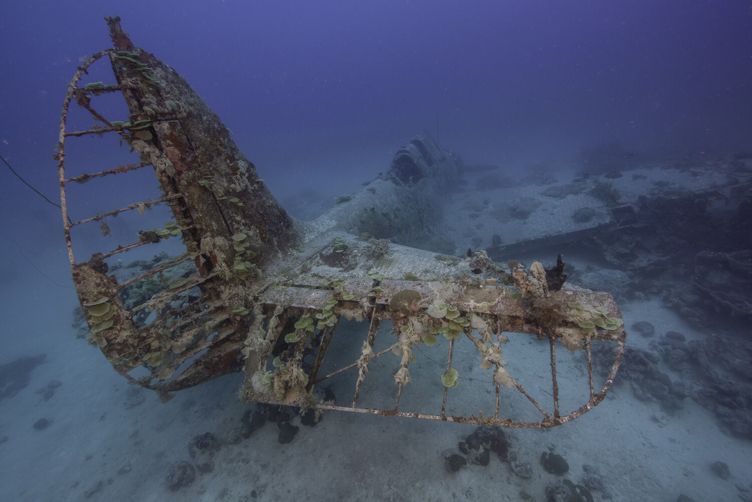 US Navy Announces Mission to Recover a Douglas TBD Devastator 19 HH03
