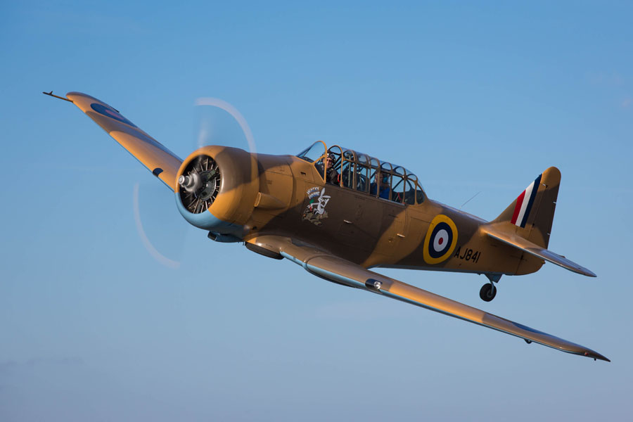 Keeping the Past Aloft: T6 Harvard Ltd and the Spirit of the Wacky