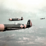 IAR 80 fighter. in color