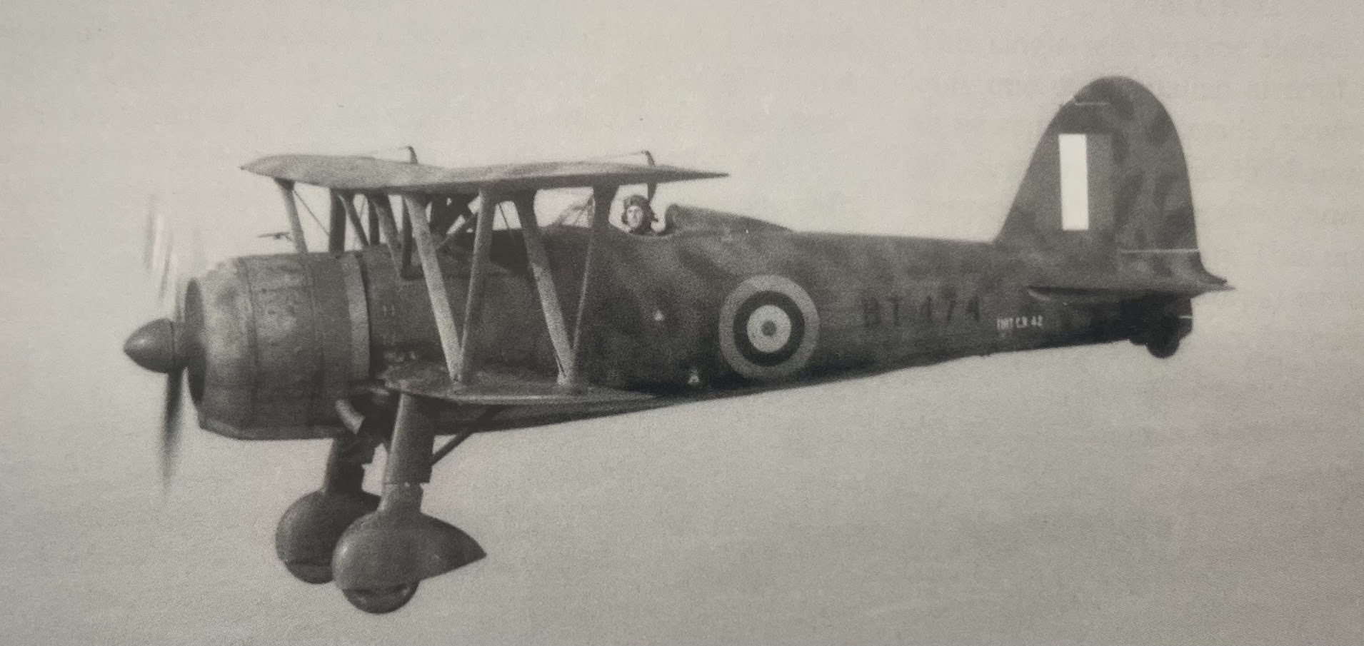 The Italian Falcon: Surviving Examples of the Fiat CR.42 Falco 28 IMG 7740