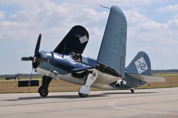 The unmistakeable, massive Helldiver folding its wings after the performance. (Image credit Luigino Caliaro)