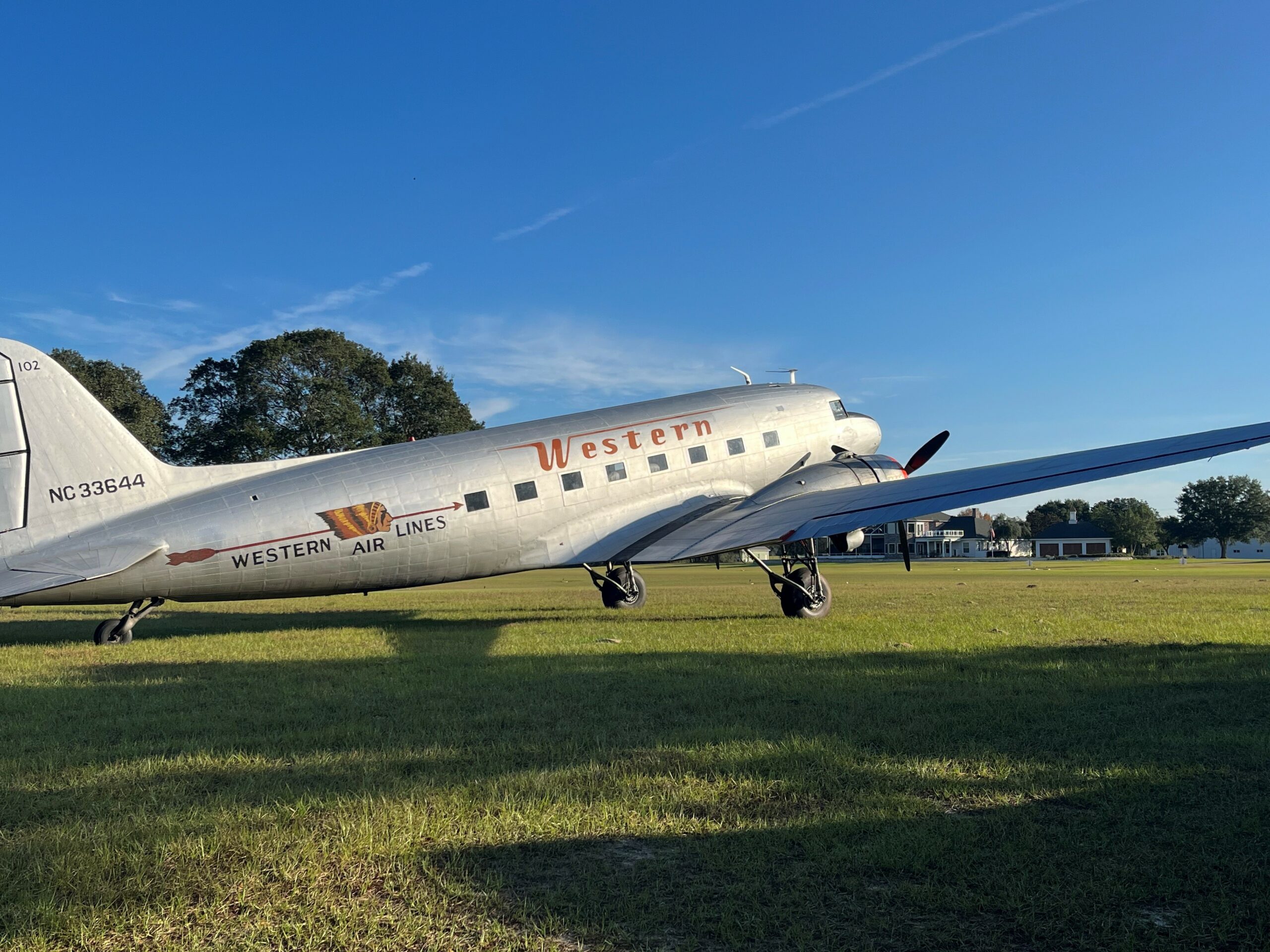 N33644 on the Grass scaled