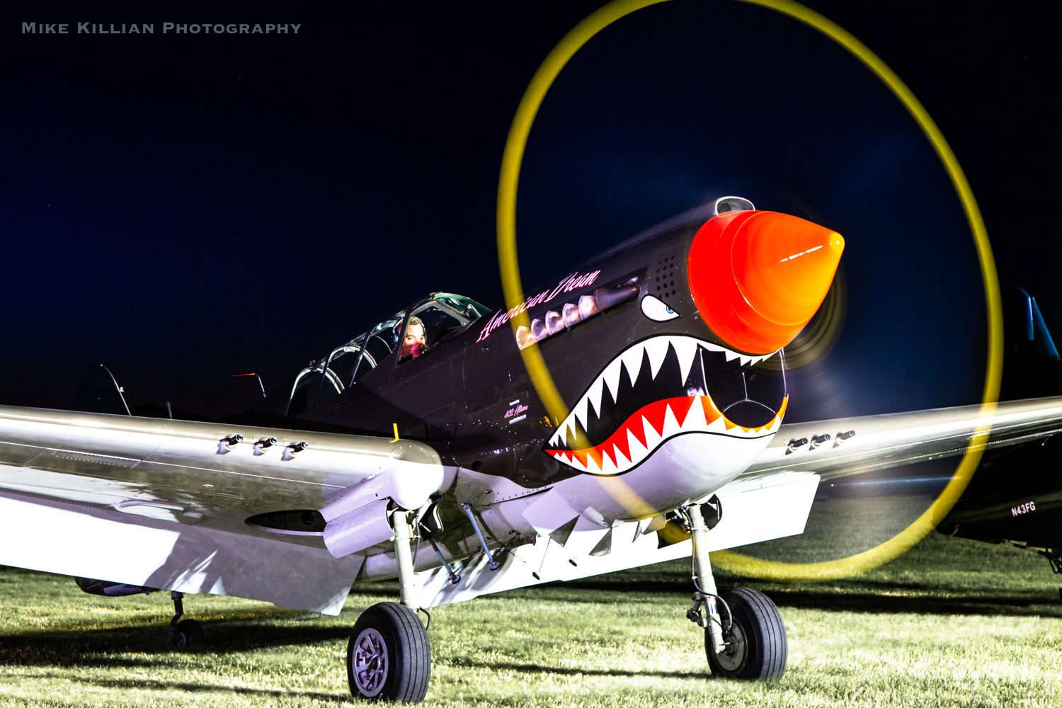 P 40 Warhawk American Dream Mike Killian 2