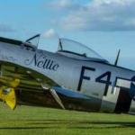 P 47 Thunderbolt Nellie John Dibbs photo