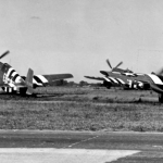 P 51 Invasion Stripes