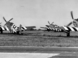 P 51 Invasion Stripes