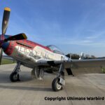 P 51 Mustang Jersey Jerk Ultimate Warbird Flights