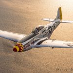 P 51D Swamp Fox Scott Slocum Photo 2