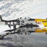 P 51 Lou IV