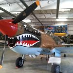 P40 Warhawk