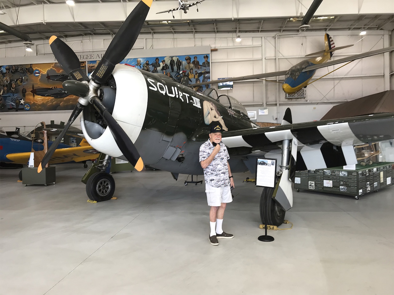 Thunderbolt Thoughts 20 P47PS IMG 9338 copy