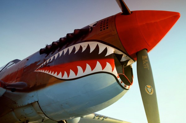 P-40 - Open Cockpit on Sat, Feb 15 from 11:00 - 3:00