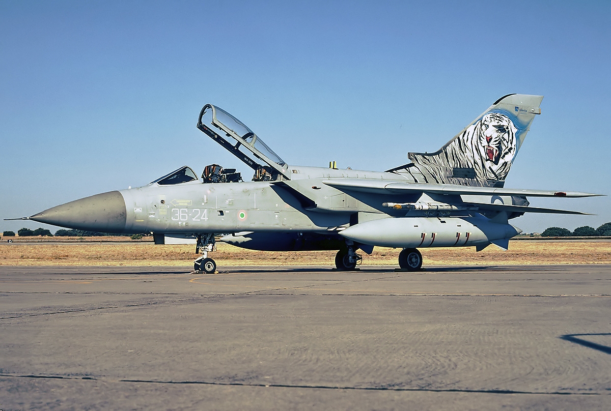 Panavia Tornado F.3 Italy Air Force JP6705530 1